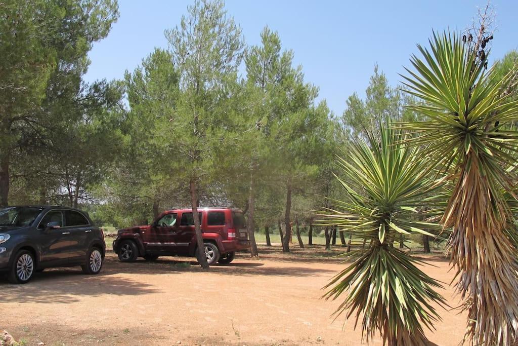 Gran Casa, Lagunas De Ruidera, Bbq, Porche, Chimenea Exterior foto