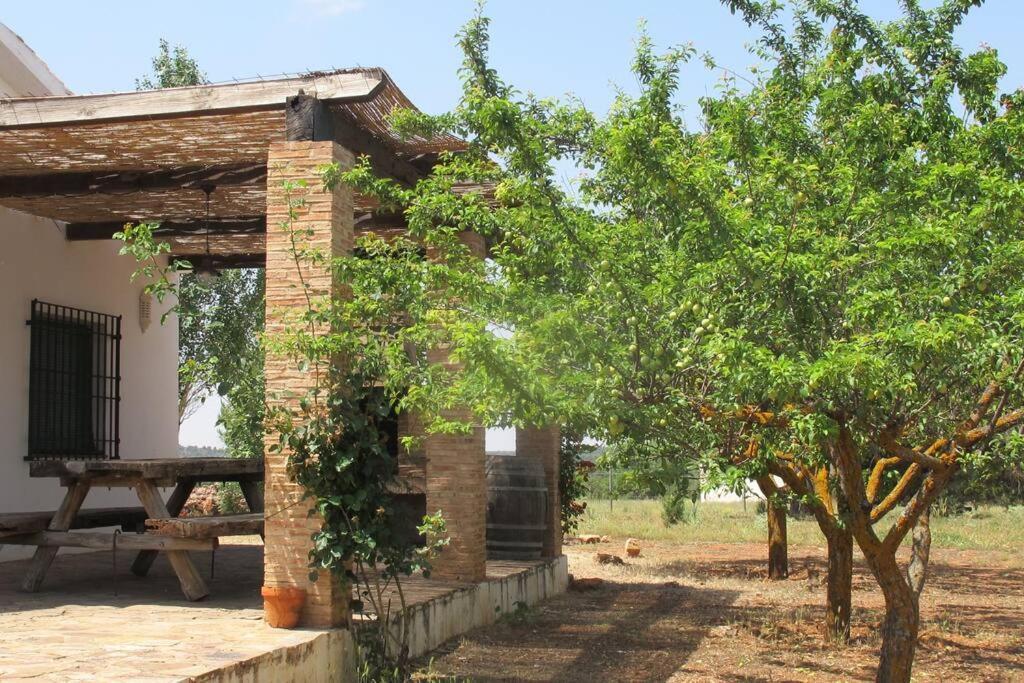 Gran Casa, Lagunas De Ruidera, Bbq, Porche, Chimenea Exterior foto